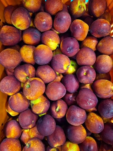 nectarinas